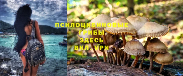 ешки Алексин