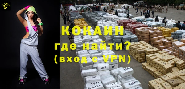 ешки Алексин